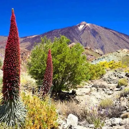 Privado, Piscina, Wifi Al Mejor Precio Semesterbostad San Juan de la Rambla