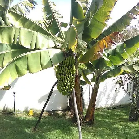 Privado, Piscina, Wifi Al Mejor Precio Feriehus *
